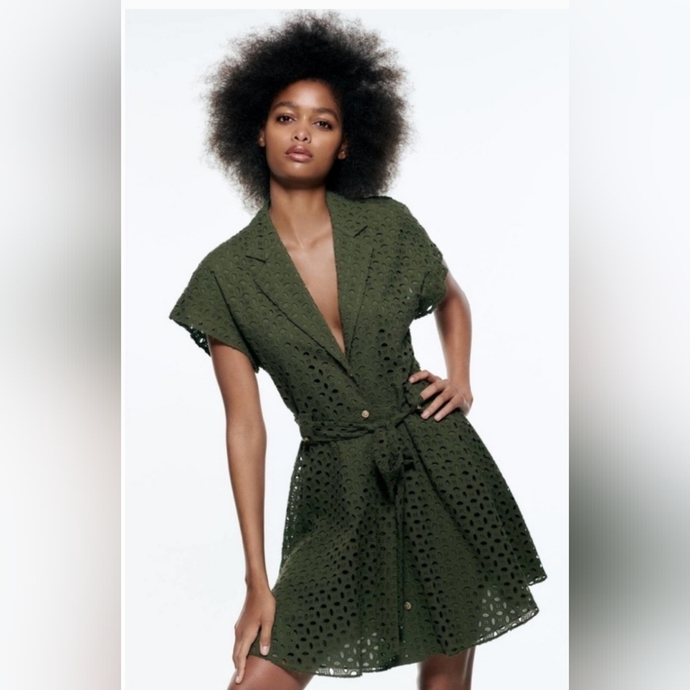 Zara Eyelet Mini Dress